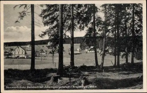 Ak Steinbach Johanngeorgenstadt im Erzgebirge, Teilansicht