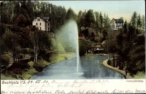 Ak Annaberg Buchholz Erzgebirge, Waldschlösschen, See, Fontäne