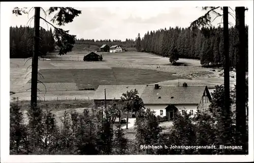 Ak Steinbach Johanngeorgenstadt im Erzgebirge, Eisenganz, Feld, Wald