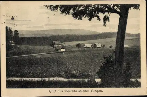 Ak Deutscheinsiedel Deutschneudorf im Erzgebirge, Panorama