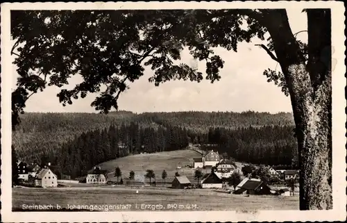 Ak Steinbach Johanngeorgenstadt Erzgebirge, Teilansicht