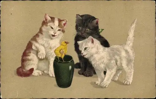 Ak Drei junge Katzen betrachten ein Küken