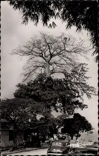 Ak Brazzaville Französisch Kongo, Strand, Baobab Baum