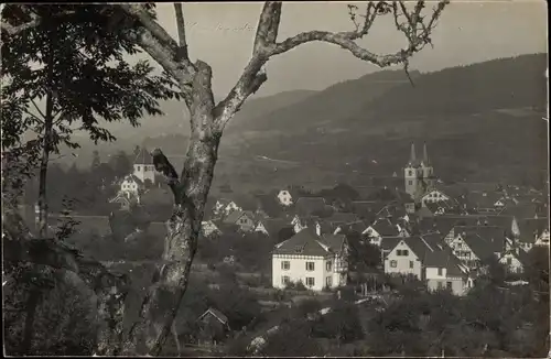 Ak Murrhardt in Württemberg, Teilansicht