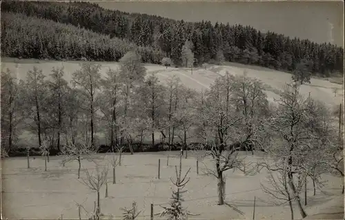 Ak Murrhardt in Württemberg, Wintermotiv vom Wald