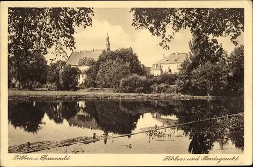 Ak Lübben im Spreewald, Schloss u. Amtsgericht, Uferpartie