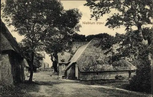 Ak Nieblum auf der Insel Föhr Nordfriesland, Teilansicht, Reetdachhäuser