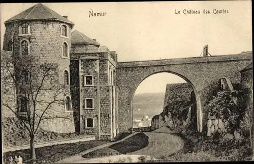 Ak Namur Wallonien, Le Chateau des Comtes