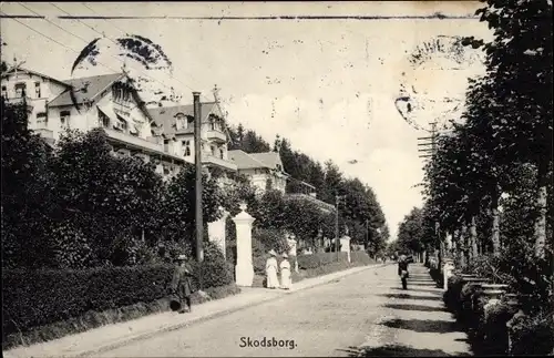 Ak Skodsborg Dänemark, Straße, Häuser, Bäume