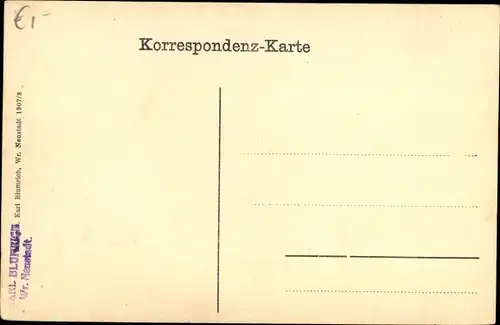 Ak Wiener Neustadt in Niederösterreich, Totalansicht