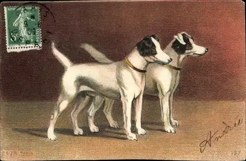 Ak Zwei schwarz-weiße Hunde