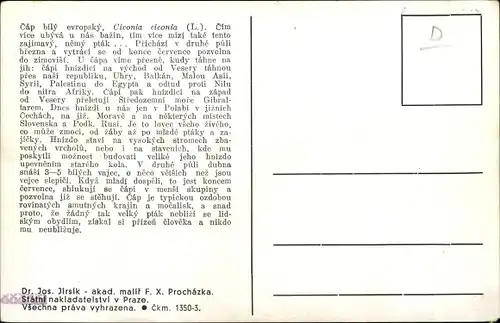 Künstler Ak Prochazka, F. X., Störche, Gewässer