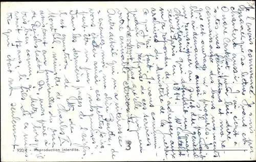 Ak Zwei junge Hunde, Welpen, Spaniels