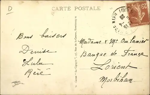 Ak Zwei Störche, Storchennest