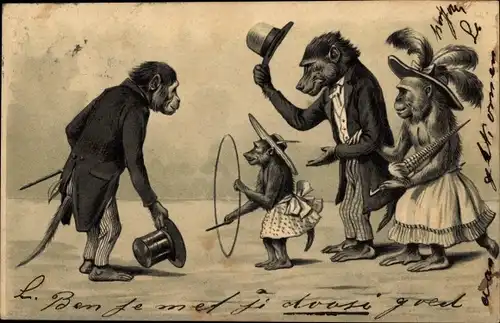 Litho Vermenschlichte Affen, Anzug, Kleid, Reifen, Hüte