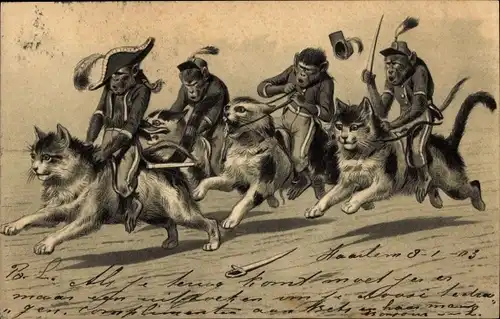 Präge Litho Affen reiten auf Hauskatzen, vermenschlichte Tiere, Schimpansen