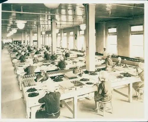 Foto Pittsburgh Pennsylvania USA, Heinz Company, Pickles, eingelegte Gurken werden verpackt