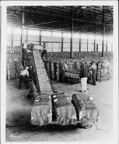 Foto San Diego Kalifornien USA, Baumwolle bereit zum Verschiffen