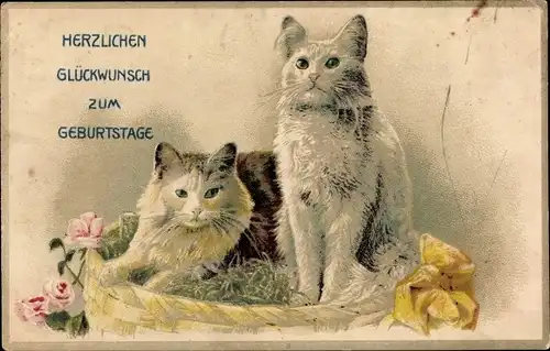 Präge Ak Glückwunsch Geburtstag, zwei Katzen, Korb