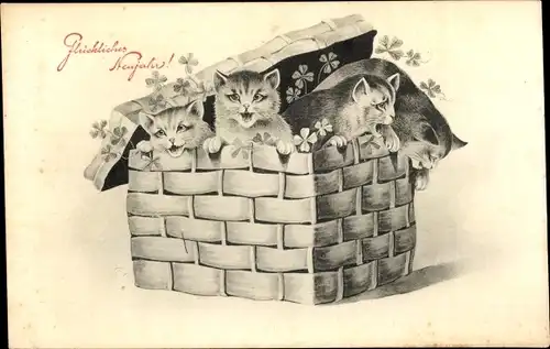 Litho Glückwunsch Neujahr, vier junge Katzen in einem Korb, Kleeblätter