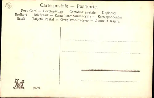 Litho Glückwunsch Neujahr, vier junge Katzen in einem Korb, Kleeblätter