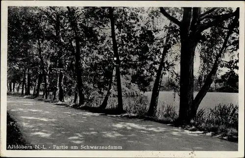 Ak Altdöbern in der Niederlausitz, Am Schwarzendamm