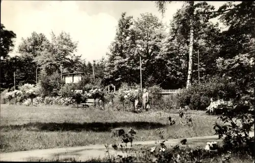 Ak Eisenberg in Thüringen, Rudolf Elle Krankenhaus, Parkanlagen