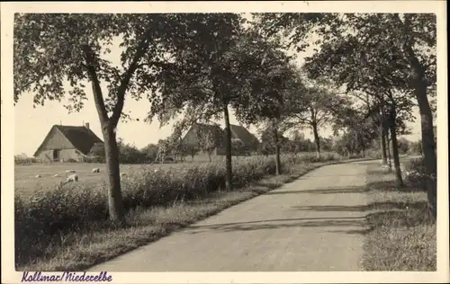 Foto Ak Kollmar an der Niederelbe, Straßenpartie, Dorf