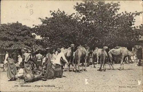 Ak Tivaouane Senegal, Marktplatz, Kamele