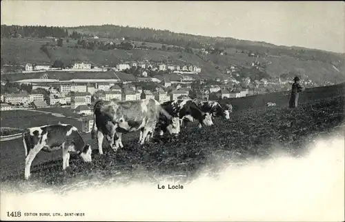 Ak Le Locle Kt Neuenburg, Gesamtansicht, Kühe