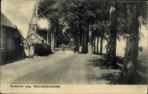 Ak Nieuwenhoorn Südholland Niederlande, Brielsche weg