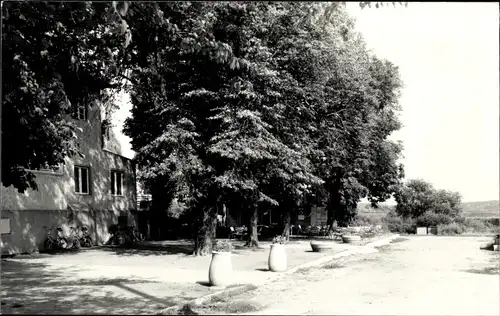 Foto Ak Naumburg an der Saale, Konsum Gaststätte Hallescher Anger