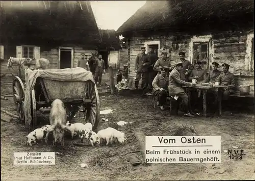 Ak Ostfront, Deutsche Soldaten in Uniformen, polnischer Bauerrnhof, Schweine, I WK