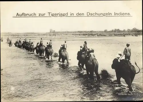 Ak Indien, Aufbruch zur Tigerjagd, Elefanten