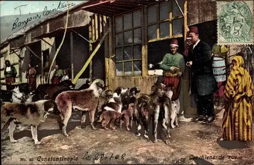 Ak Konstantinopel Istanbul Türkei, Les chiens de Rue, Hundefütterung