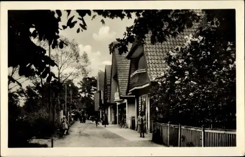 Ak Ostseebad Boltenhagen, Mittelpromenade