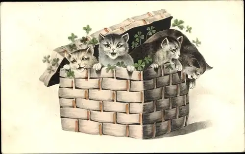 Litho Vier junge Katzen in einem Korb, Kleeblätter