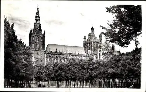 Ak 's Hertogenbosch Den Bosch Nordbrabant Niederlande, Baseliek St. Jan