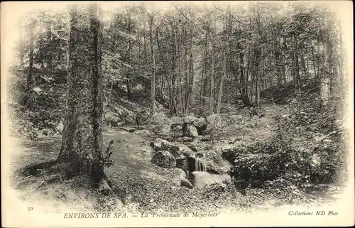 Ak Spa Wallonien Lüttich, La Promenade de Meyerbeer, Bachlauf, Wald