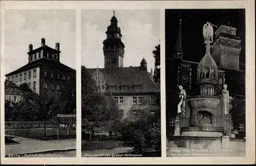 Ak Zeitz Burgenlandkreis, Schloss Moritzburg, Rückansicht Ratshaus, Finkgräfe-Brunnen, Nacht