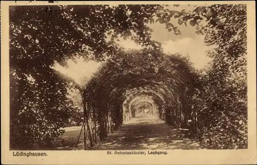 Ak Lüdinghausen im Münsterland Westfalen, St. Antoniuskloster, Laubgang