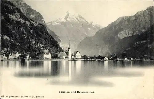 Ak Flüelen Kanton Uri Schweiz, Panorama, Bristenstock