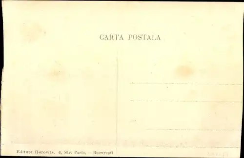 Ak București Bukarest Rumänien, Boulevard Coltzea