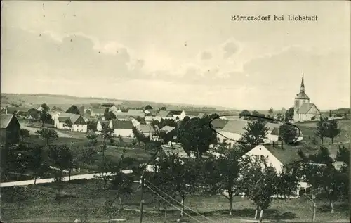 Ak Börnersdorf bei Liebstadt Bad Gottleuba in Sachsen, Gesamtansicht, Kirche