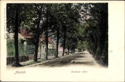 Ak Aurich in Ostfriesland, Eschener Allee