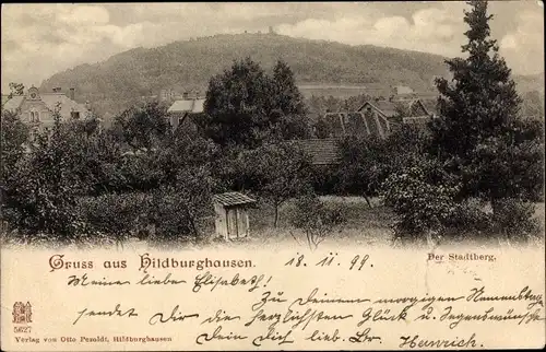 Ak Hildburghausen in Thüringen, Stadtberg