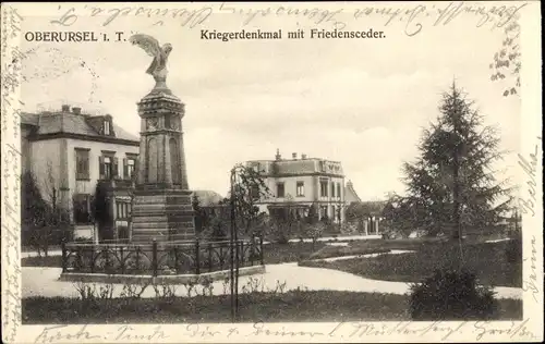 Ak Oberursel im Taunus Hessen, Kriegerdenkmal mit Friedenszeder, Gesamtansicht, Wohnhäuser