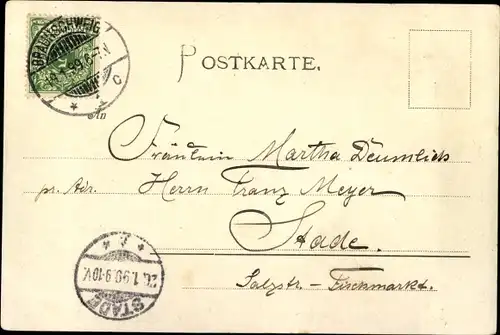 Ak Braunschweig in Niedersachsen, Panorama