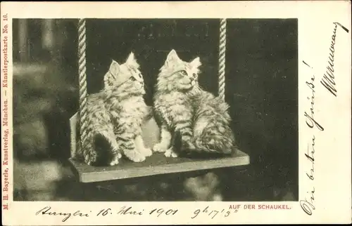Ak Zwei junge Katzen auf der Schaukel