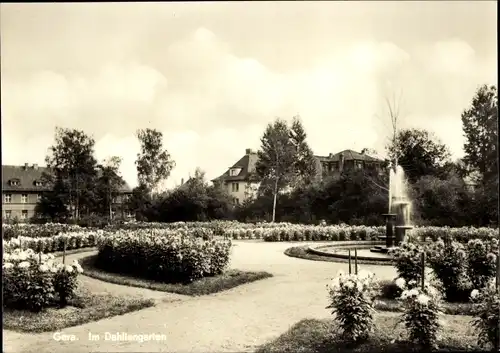 Ak Gera in Thüringen, Im Dahliengarten, Springbrunnen